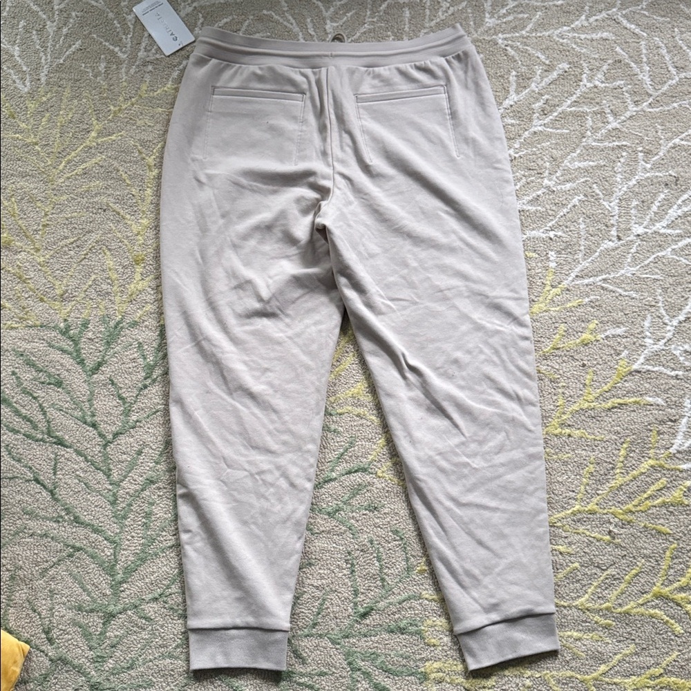 Athleta Apres Ski Down Joggers NWT 16 - Picture 6 of 6